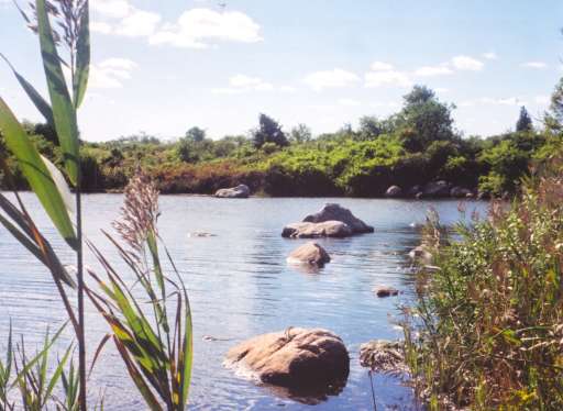Things To Do In Rhode Island In The Summer Ri Events