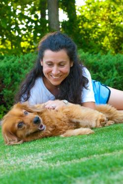 Dog at Park