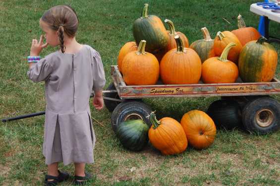 2020 Kalona Fall Festival - Kalona, IA