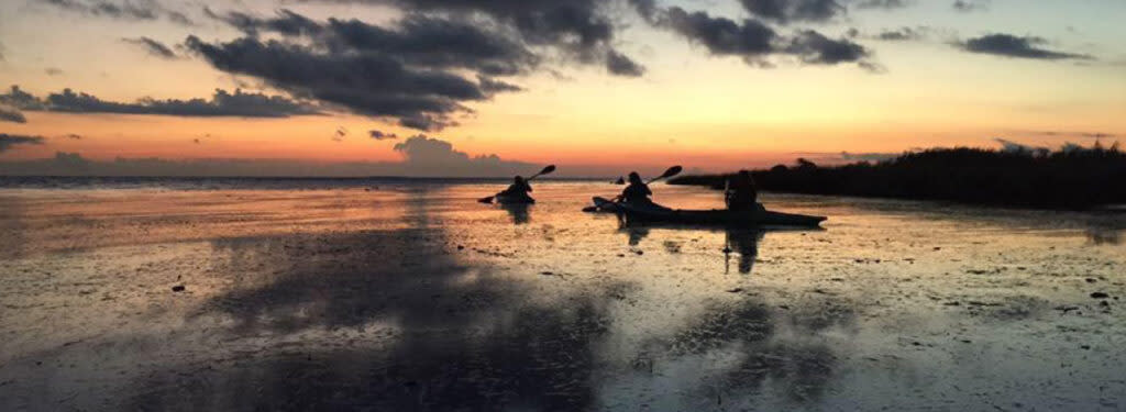 Sunset Paddle on Cane Bayou with Bayou Adventure