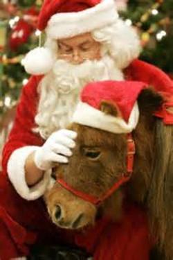 Santa and Ponies
