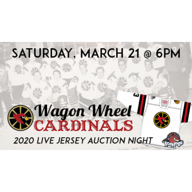 nhl jersey auction