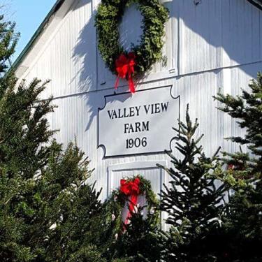 Valley View Tree Farm