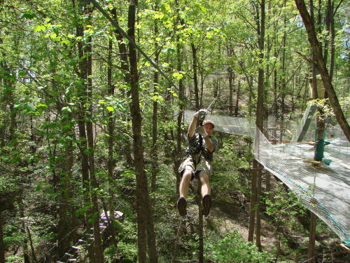 Swinging Through the Trees at Treetop Quest