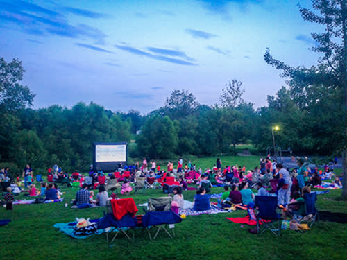 Movies in the Park
