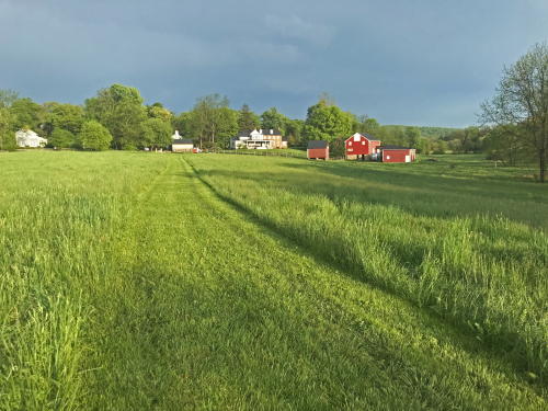 waterford field