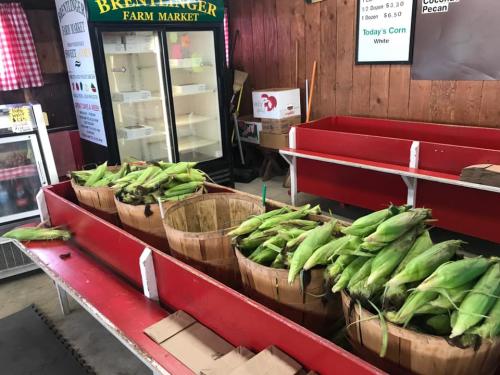 Boxes Of Corn At Brentlinger's Farmers Market In Dayton, Ohio