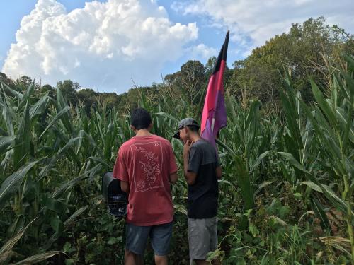 Amazing Maize Maze