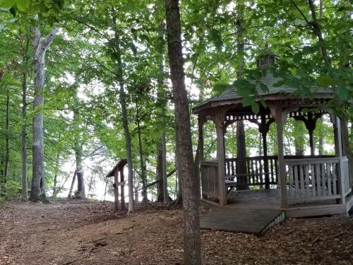 Lake Davidson Gazebo Forest Recap (Cyndi)