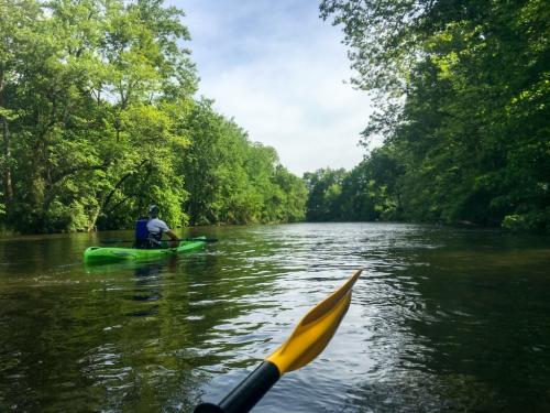 A trip down the Elkhart River offers a mix of rural, secluded views and diverse wildlife with scenes from urban life. (Photo by Marshall V. King)