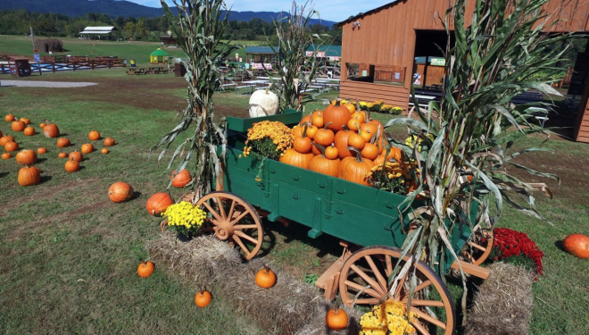 40 Events To Check Out This October In Virginia S Blue Ridge Roanoke Va