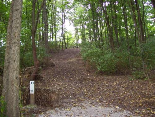 Green Trees And Path At Westbrook Park In Clayton, OH