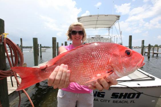 Snapper