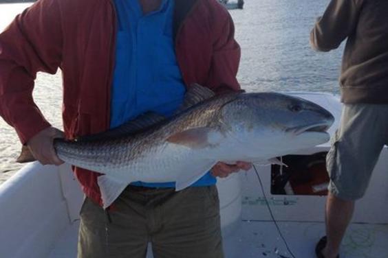 big red