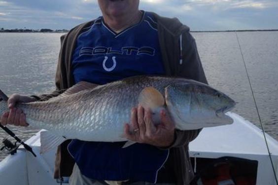 another big red