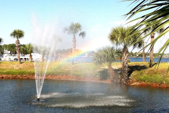 nature pond in Venture Out