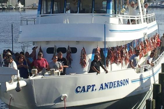 10 HR Deep Sea Fishing trip - Bringing in the stringers of fish