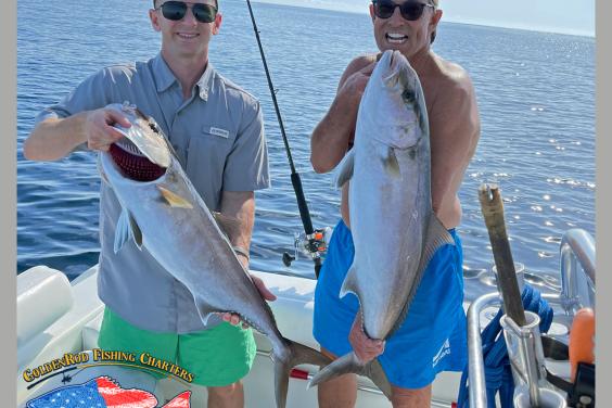 Pair of Amberjacks