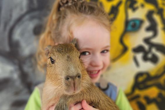 Capybara experience