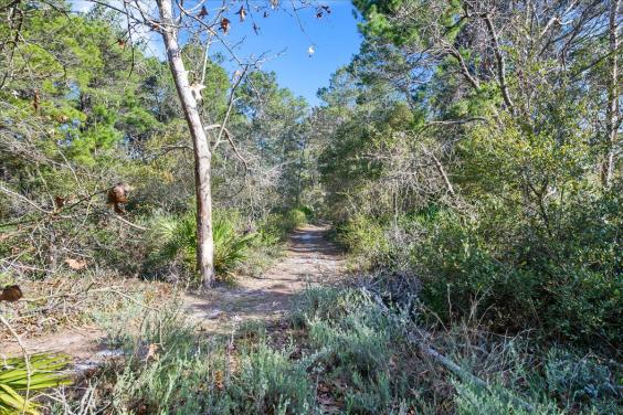 Woodsy nature trail!
