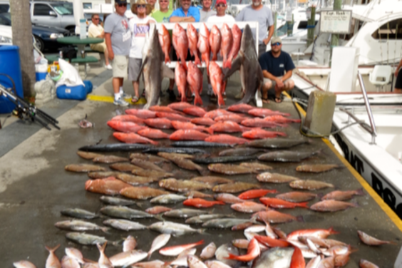 Rainy Day Fishing Haul