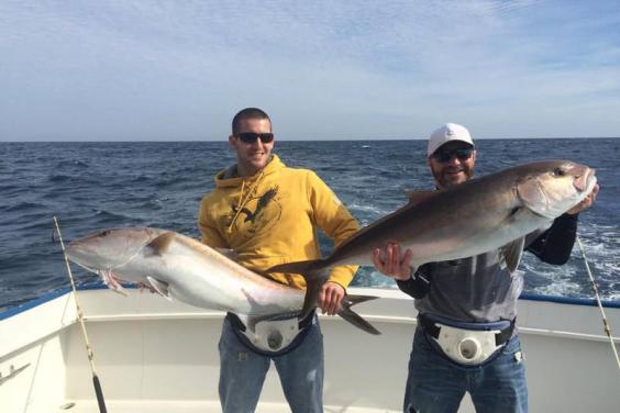 Amberjacks on Miss Kelley
