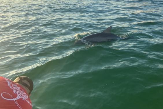 Right next to the boat!!!