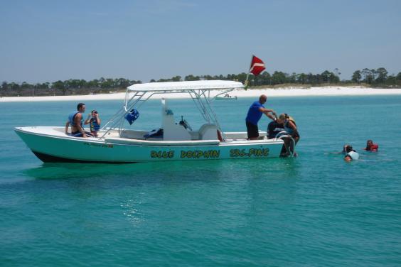Blue Dolphin Tours