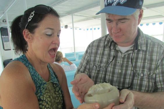 Check out the barrel jellyfish!