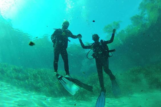 Panama City Dive Charters