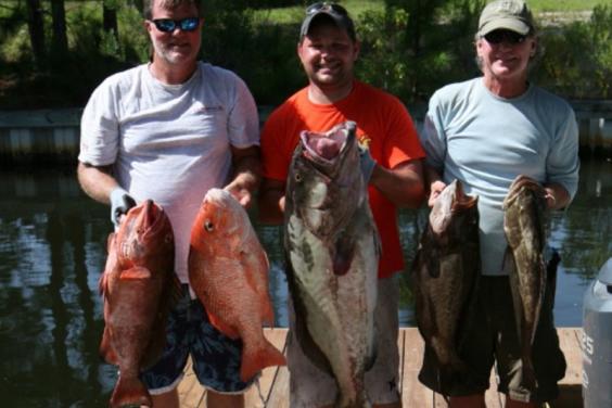 stingray fishing charters