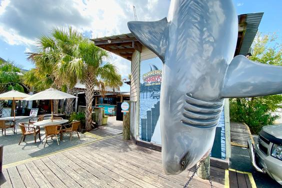 Hammerhead Fred's Shark