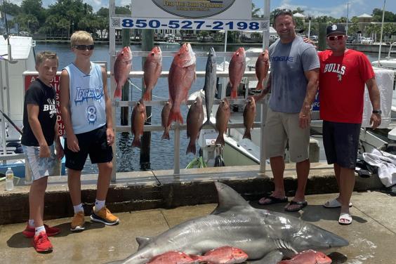 Reef Fish, Shark, and Family