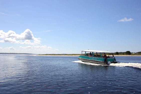 Shell Island Shuttle Service