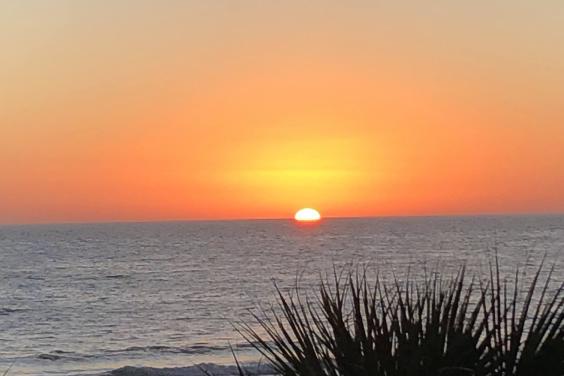 Sunset Boat Tours