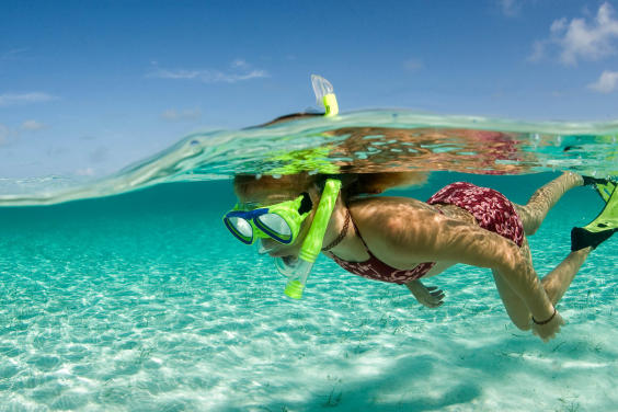 Snorkel Trips