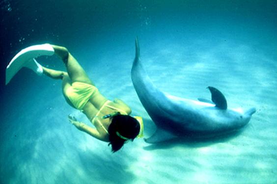 Mina and the Dolphin