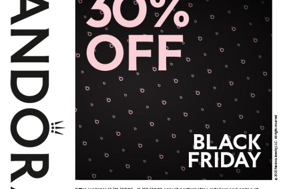 Black Friday Sale
