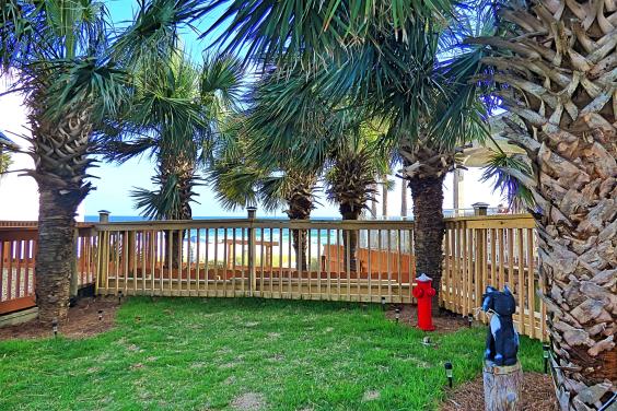 Pet Park