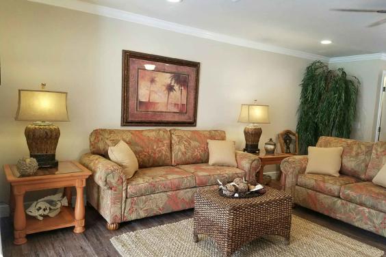 Living room with sleeper sofa