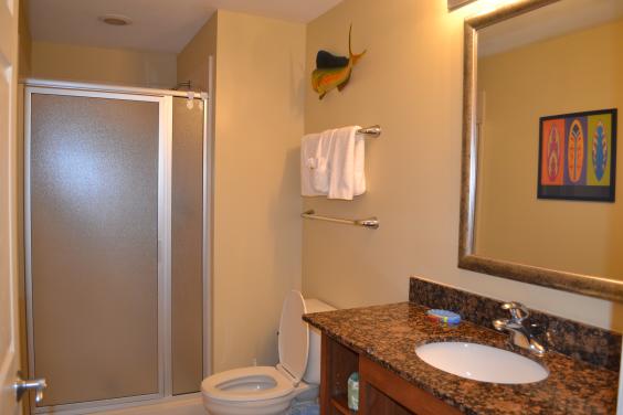 Second Bathroom with shower area
