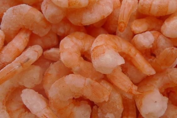 Shelled-Fresh-Shrimps.jpg