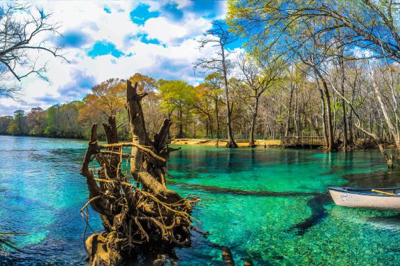 Cypress Springs