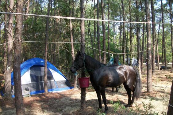 camping with Cocco