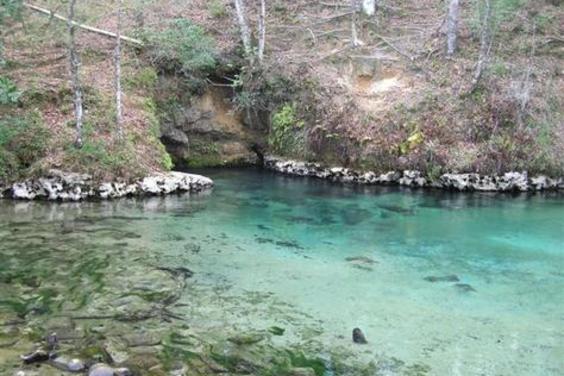p276470-Florida-Emerald_Springs.jpg