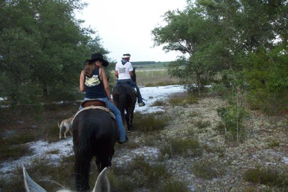 Sunshine Riding Trails