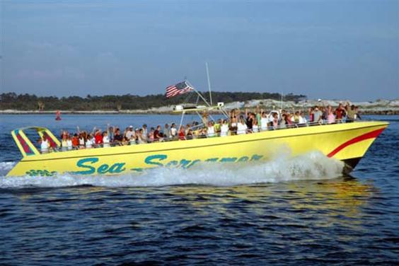 Sea Screamer Dolphin Cruises
