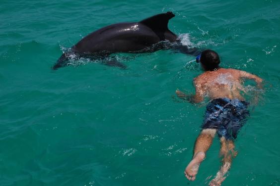 Awesome Snorkel-Time