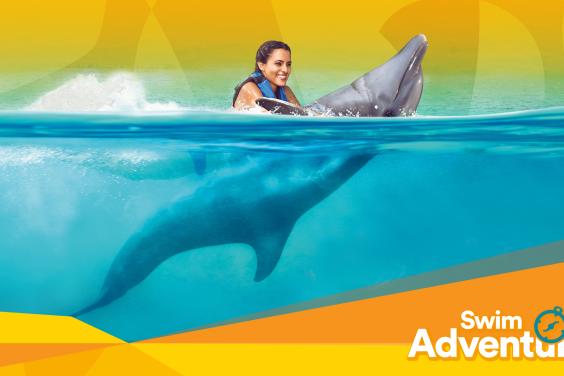 Swim Adventure