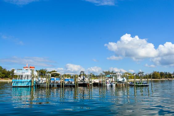 Dock